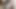 Horoz sert eller serbest 60fps çekim iddialı zaman atlamalı olsun