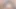 Hentai yapay zeka derlemesi ile oluşturulmuş