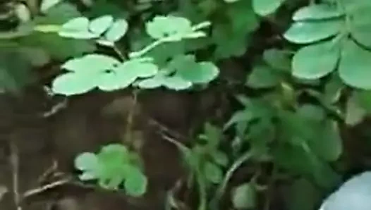 Desi village hile aunty açık seks