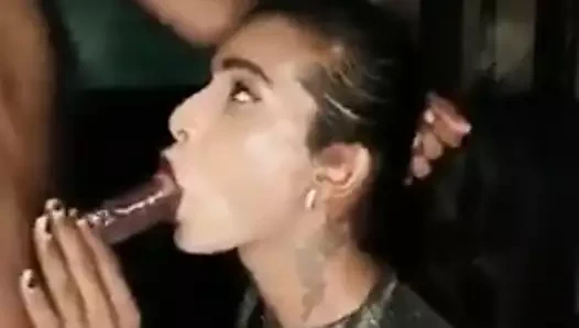 Hint transeksüel berbat büyük horoz