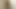 Wet Cotton Secrets Vol. 18 Part 7