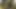 Naturgeil erkek delisi xxl filmi