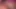 Yapay zekalı rapunzel oyuncu seçmelerinde seks - masum prensesin ilk oral seksi