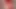 cherry_inside video