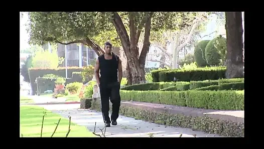 Nery Gay Horozlar Şaşırtıyor