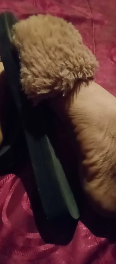Tasty feet