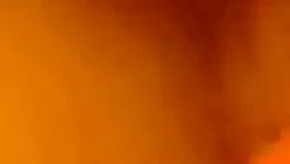 Eski kız arkadaş gel