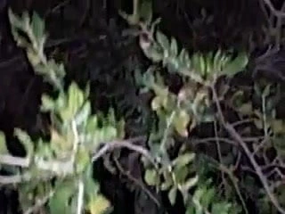 Amatör eş filme koca tarafından parkta