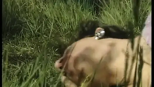 Sürtük esmer açık havada götten sikiliyor