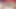 Tombul abanoz bbw web kamerası döşeme geri yayılma