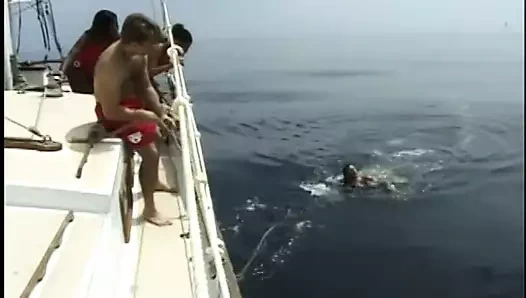 Abanoz gets kedi bükülmüş üzerinde ve becerdin sert tarafından beyaz horoz dışında