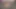 Minyon tatlı pepper xo hayranları için sert sikişmeden önce sert yarağını ellerine ve ağzına alıyor
