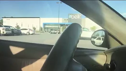 Kürklü kedi park yerinde arabada oynuyor ve fışkırtıyor