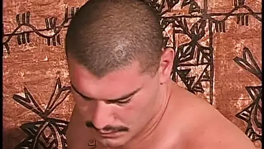 Beyaz etli ayı, kalın hindi piçini erkek kıçına yapıştırıyor