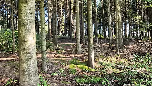 Tavşan ormanda sikiliyor