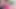 Ava Alex'in ağzında bir dildo ve amında büyük bir yarak!