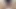 Japanese Boy Huge Cumshot After 1 Month of No Fap