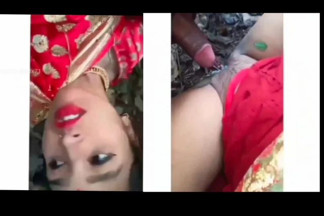 भारतीय जंगल संकलन