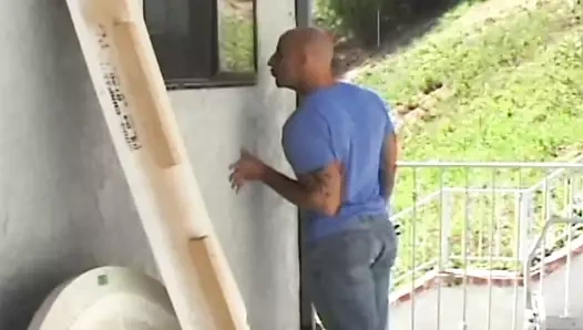 Shyla stilleri:"büyük aygır kıçımı kırdı"