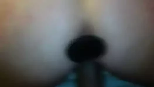 Popo fişi olan köpek