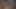 Dana DeArmond teaser 18
