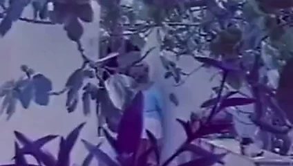 Idonikes diastrofes - yunanca römork