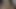 Afrika kraliçesi abanoz evet 2.