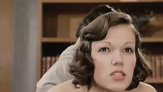 Taraflar para cezaları (1977)