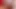 Bana pov üfle - daha da seksi hatunlar tarafından 4 sıcak oral seks