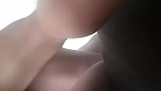 anal köpek