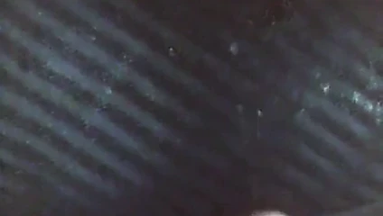 Viel Sperma
