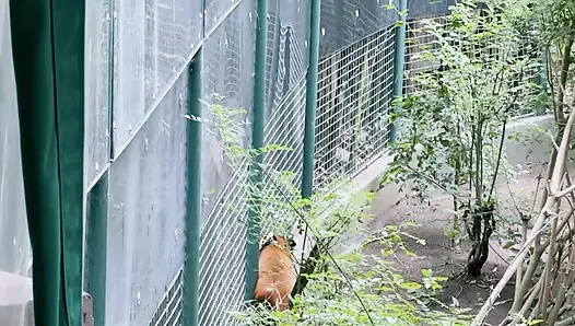 İyi vakit geçirdim