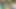 Patron, seni koşturacak olursam, daha fazla ödeyeceksin, değil mi?