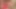- Döl fışkıranlar 29- sapık orta yaşlı seksi kadınlar