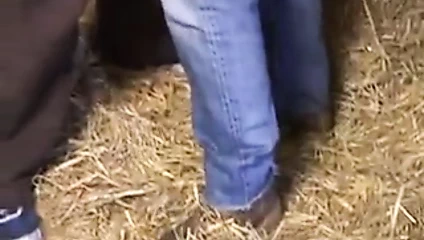 Big ben ve İngiliz ayıları