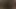 Tanrım, bu tatlı amcığa karşı koyamıyorum