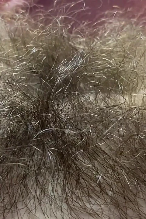 Ormanda canavar klitoris