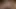 Yapay zeka tarafından üretilen Tek Parça Uta çok seksi
