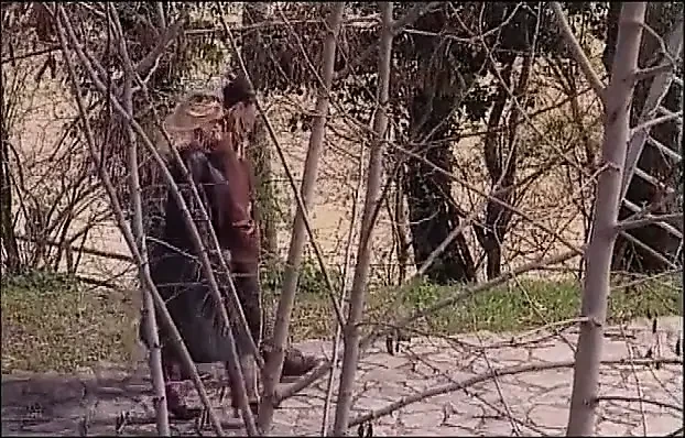 İtalyan klasik tam film şehvetli bir hafta sonu ( un weekend molto libidinoso)