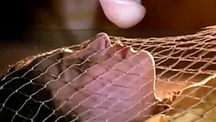 Madhuri kraliçe dixit