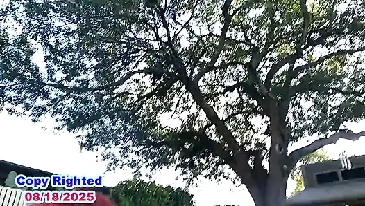 Güneşte ıslak vahşi eğlence tam video