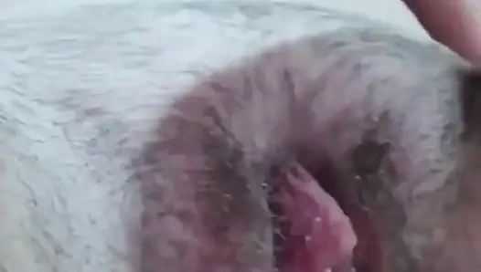 Yakın çekimde amcık