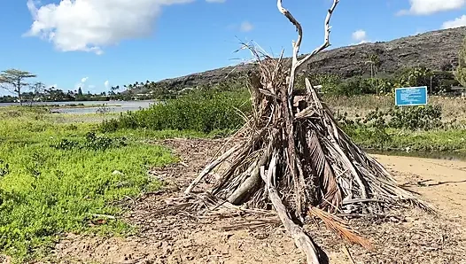Paiko Fishpond, East Oahu, Hawaii