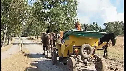 Tatlı genç çayırda çıplak yatıyor ve vajinasını güneş ışığında parmaklıyor