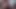 web maszt