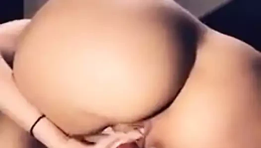 Büyük baştankara , dövmeli bebek oynuyor