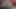 Crazy sex in the bedroom of an amateur couple. Sexy hairy latina pussy, big ass.