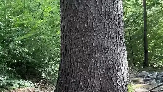 Bahse girerim. Sidik Meydan Okuması