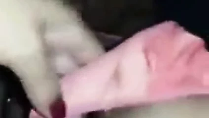 Sıcak kedi yarı açık