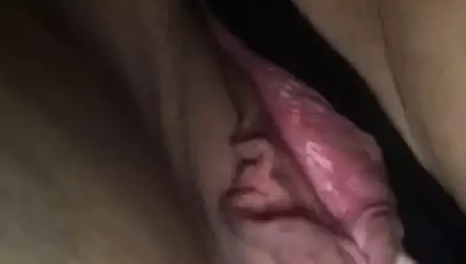 etli KEDİ külot yayılma